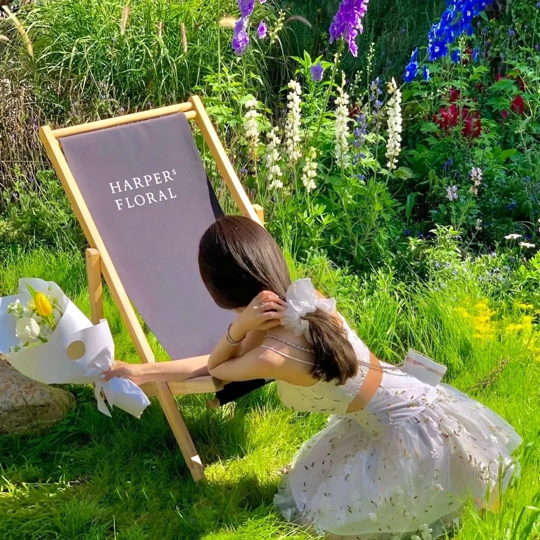 杂鱼们胸怀大志！